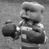 kidboxing kidboxing