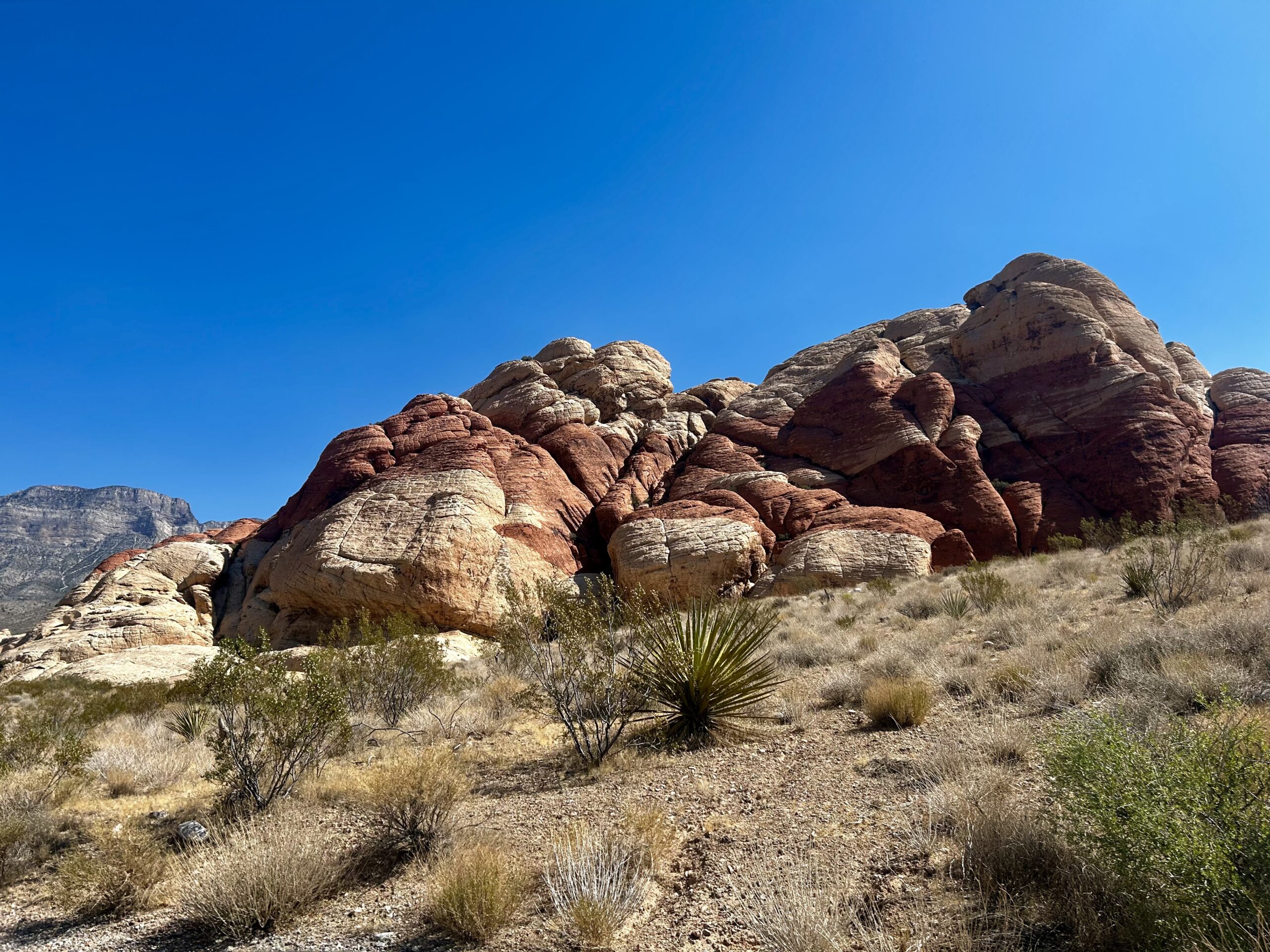 Red Rock Canyon in Nevada is an awe-inspiring location for relaxation and understanding the natural environment. Red Rock Canyon